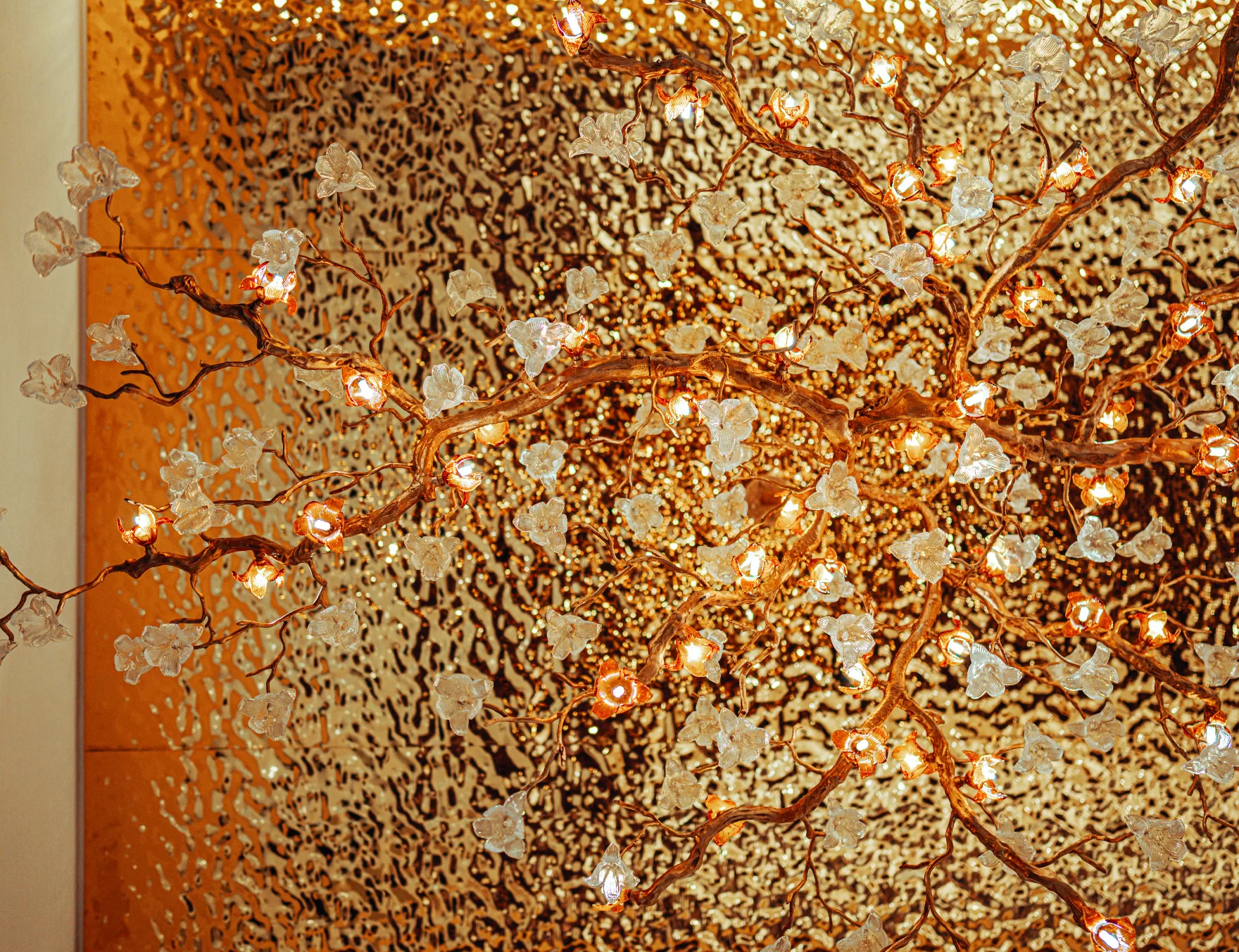 TED Company Profile-01